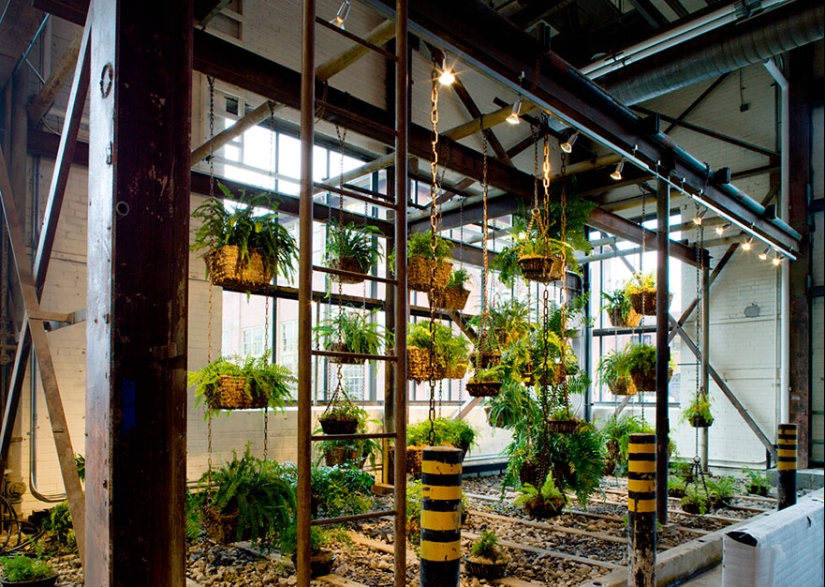 Las 12 oficinas más cool del mundo Las 12 oficinas más cool del mundo