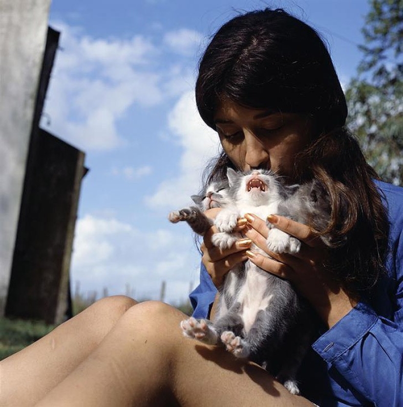 Las aventuras de Guillie y Belinda