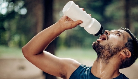 Las botellas de plástico reutilizables resultaron ser peligrosas para los seres humanos Las botellas de plástico reutilizables resultaron ser peligrosas para los seres humanos