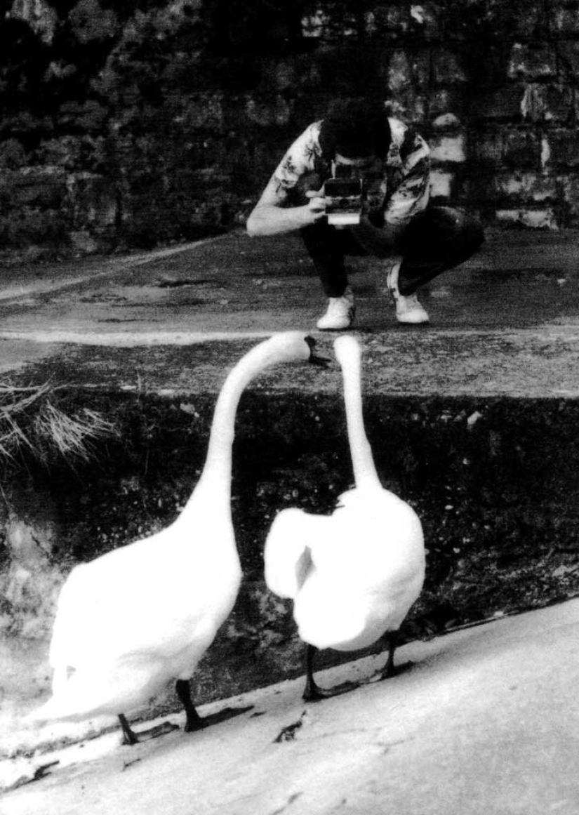 Las fotos con las celebridades que usted no ha visto