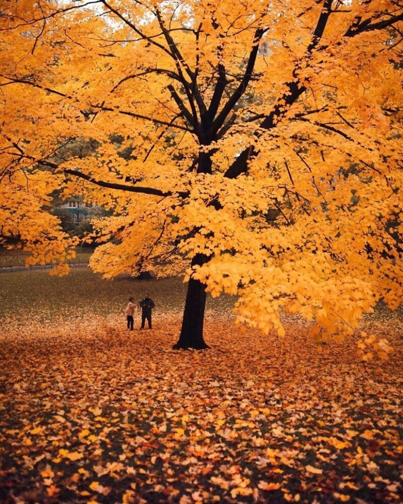 Las luces de la Gran Manzana: una vista inusual en nueva York