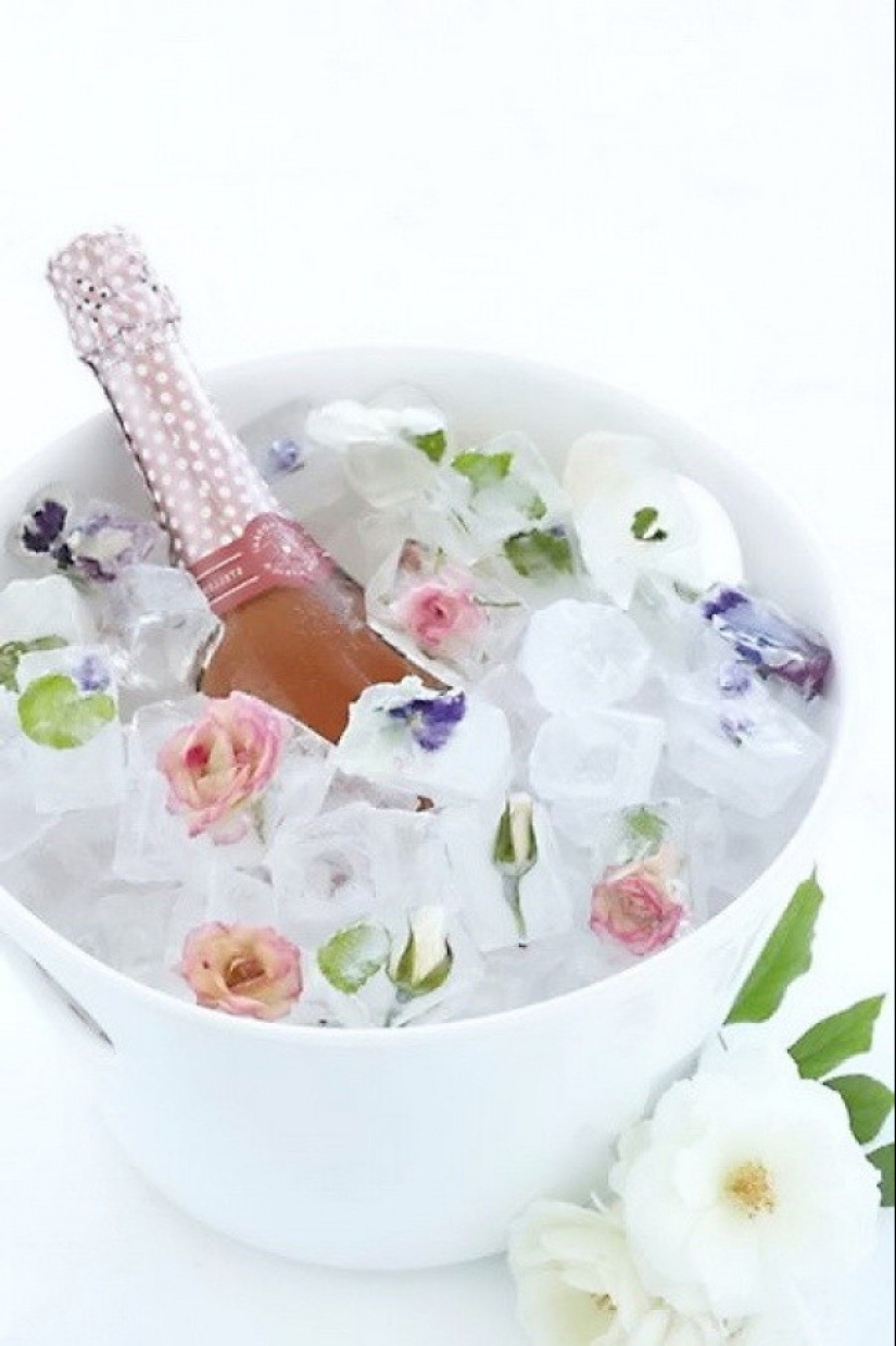 Las mejores formas de usar Moldes de hielo Las mejores formas de usar Moldes de hielo