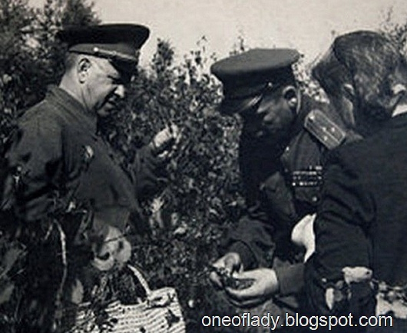 Las mujeres favoritas del mariscal Zhukov Las mujeres favoritas del mariscal Zhukov