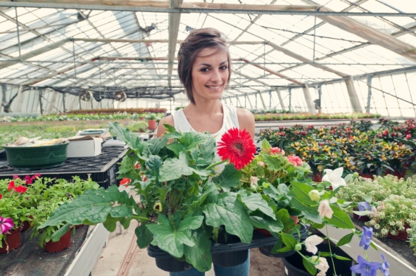 Las mujeres gobiernan el mundo. Sus armas son la belleza, la sinceridad y el amor Las mujeres gobiernan el mundo. Sus armas son la belleza, la sinceridad y el amor