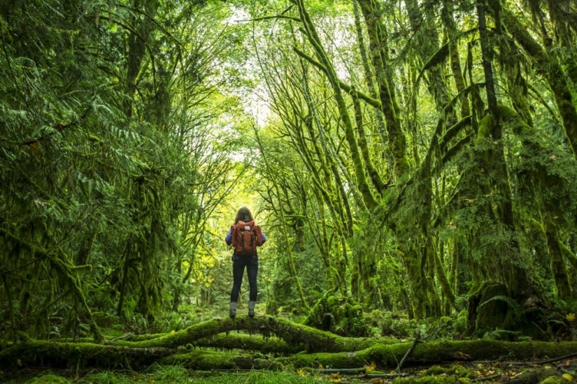 Las mujeres gobiernan el mundo. Sus armas son la belleza, la sinceridad y el amor Las mujeres gobiernan el mundo. Sus armas son la belleza, la sinceridad y el amor