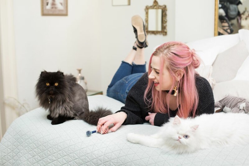 "Las niñas y los gatos": un fotógrafo de nueva York en contra de los estereotipos acerca de crazy cat ladies "Las niñas y los gatos": un fotógrafo de nueva York en contra de los estereotipos acerca de crazy cat ladies