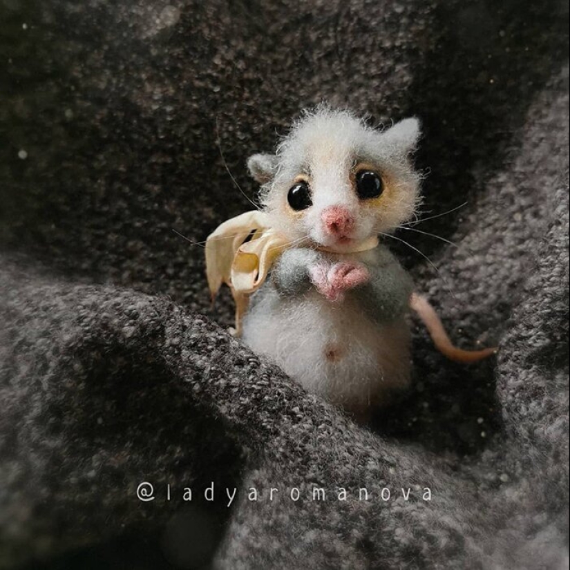 Las patas de los zorros y otros adorables animalitos amantes Anna Romanova