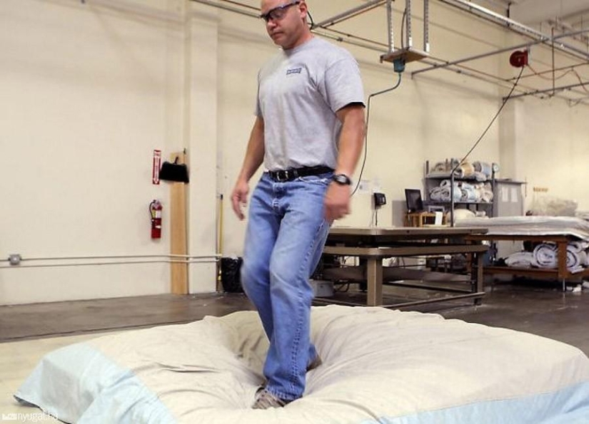 Las profesiones más inusuales y extrañas que ni siquiera sabías Las profesiones más inusuales y extrañas que ni siquiera sabías