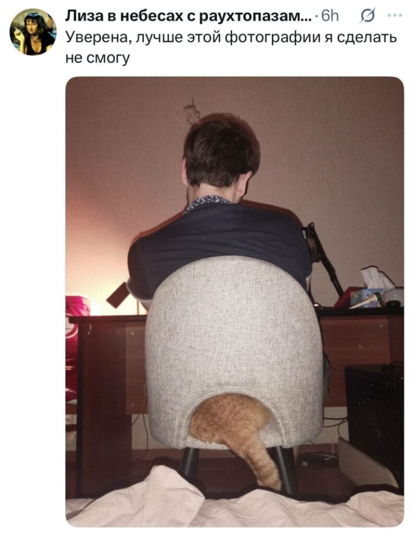 Las publicaciones más divertidas de los usuarios de Twitter