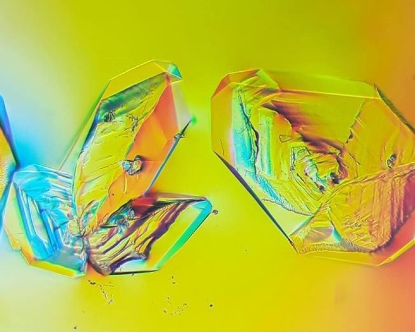 Las tabletas, Cola, papel: fotos macro de objetos familiares que te sorprenderá