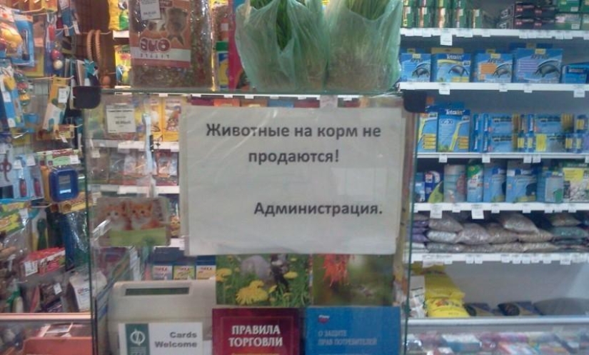 Last warning Last warning