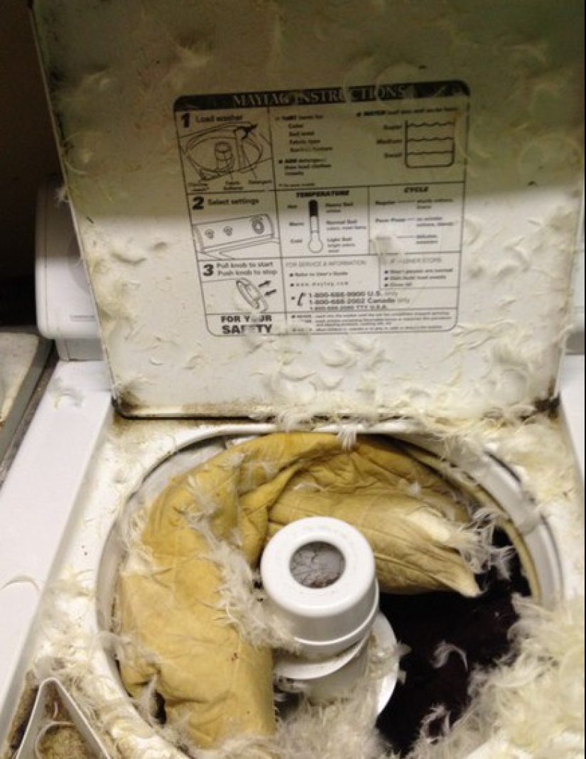 Lavado extremo: 12 episodios en los que algo salió mal Lavado extremo: 12 episodios en los que algo salió mal