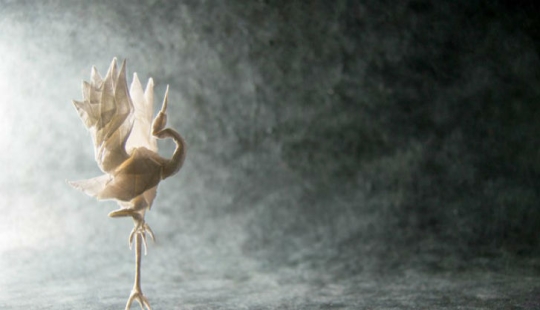 Level 80 Origami Master Level 80 Origami Master