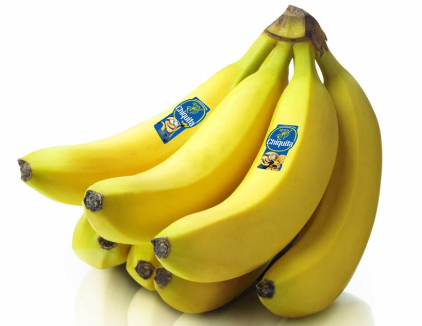 Life hacking, which gave the world a lazy Life hacking, which gave the world a lazy