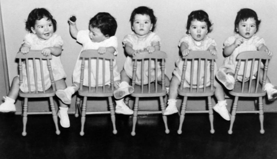 Life in the "zoo": the tragic fate of the five-year-olds Dion Life in the "zoo": the tragic fate of the five-year-olds Dion