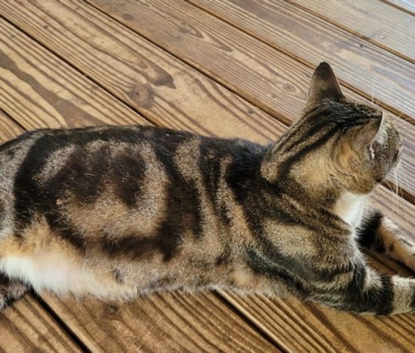 Life is full of surprises! 22 unexpected finds that caused a lot of emotions Life is full of surprises! 22 unexpected finds that caused a lot of emotions