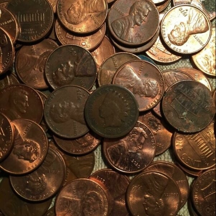 Life is full of surprises! 22 unexpected finds that caused a lot of emotions Life is full of surprises! 22 unexpected finds that caused a lot of emotions