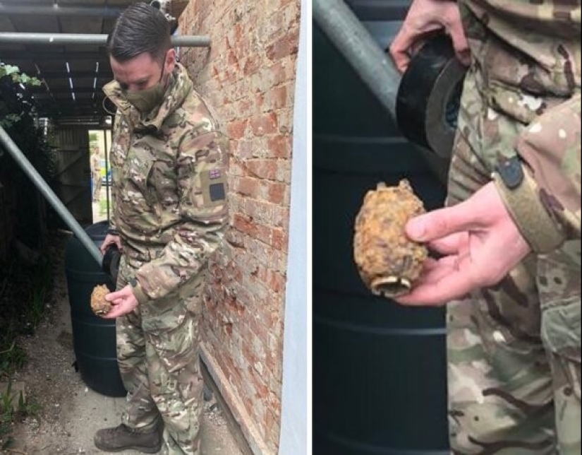 Life is full of surprises! 22 unexpected finds that caused a lot of emotions Life is full of surprises! 22 unexpected finds that caused a lot of emotions