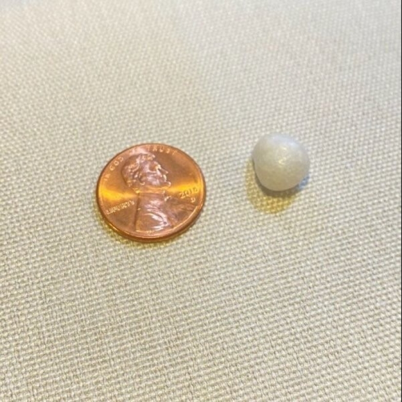 Life is full of surprises! 22 unexpected finds that caused a lot of emotions Life is full of surprises! 22 unexpected finds that caused a lot of emotions