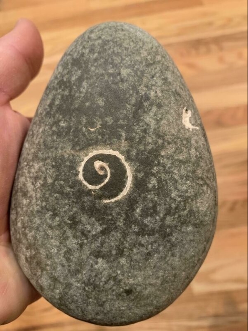 Life is full of surprises! 22 unexpected finds that caused a lot of emotions Life is full of surprises! 22 unexpected finds that caused a lot of emotions