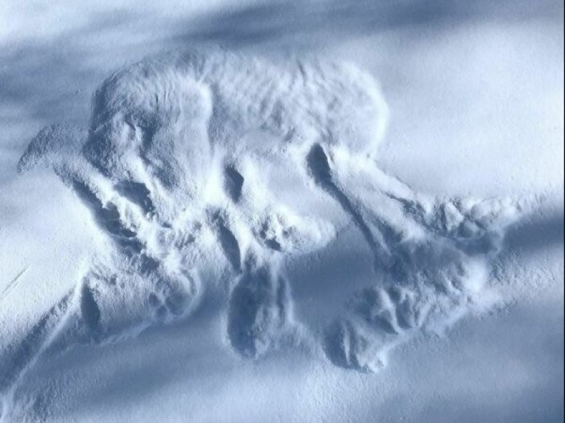 Life is full of surprises! 22 unexpected finds that caused a lot of emotions Life is full of surprises! 22 unexpected finds that caused a lot of emotions