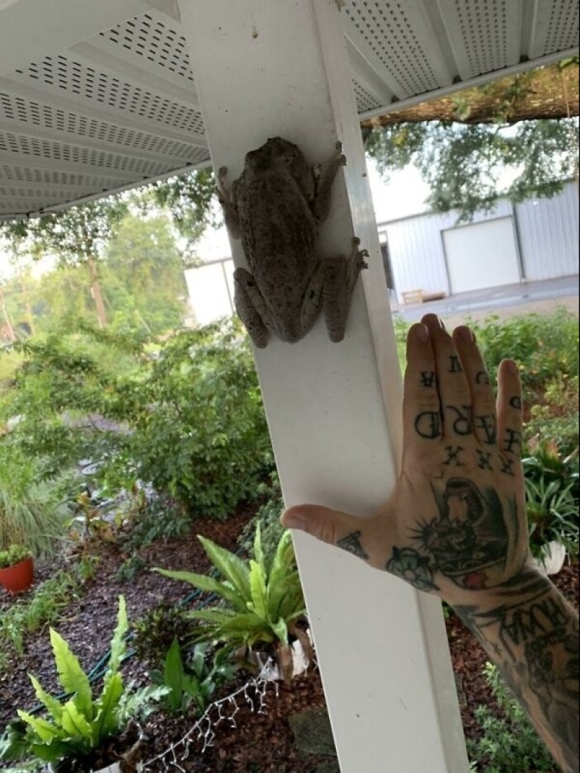 Life is full of surprises! 22 unexpected finds that caused a lot of emotions Life is full of surprises! 22 unexpected finds that caused a lot of emotions