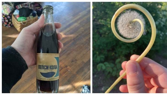 Life is full of surprises! 22 unexpected finds that caused a lot of emotions