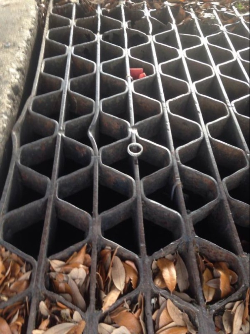 Llevado a cabo: 11 historias sobre cómo una oportunidad afortunada ayudó a evitar una tragedia Llevado a cabo: 11 historias sobre cómo una oportunidad afortunada ayudó a evitar una tragedia