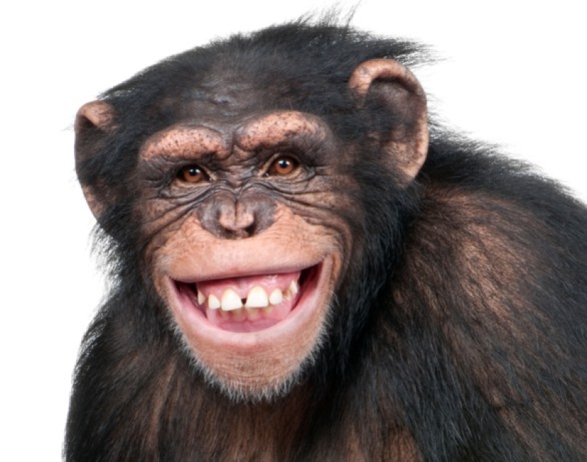 Lluvia de diamantes de la boda y Mak: 20+ loco hechos, que sin duda querrá comprobar en Google Lluvia de diamantes de la boda y Mak: 20+ loco hechos, que sin duda querrá comprobar en Google