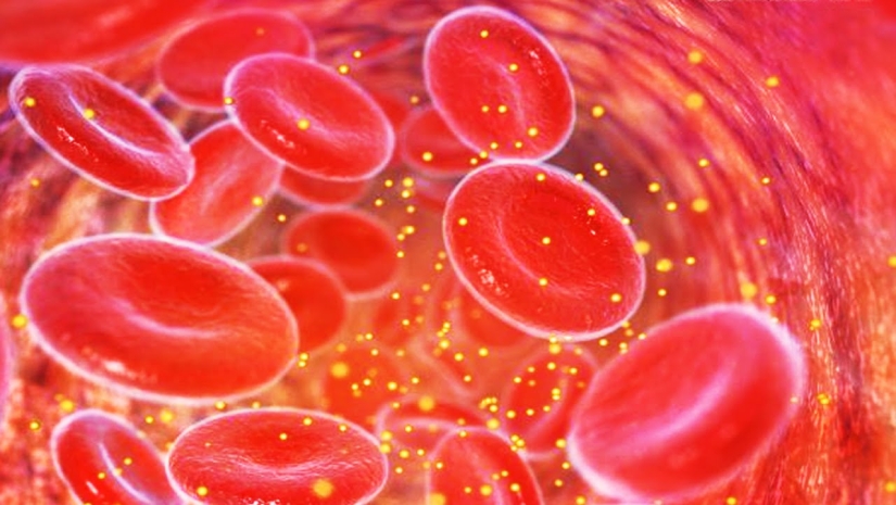 Lluvia de diamantes de la boda y Mak: 20+ loco hechos, que sin duda querrá comprobar en Google Lluvia de diamantes de la boda y Mak: 20+ loco hechos, que sin duda querrá comprobar en Google