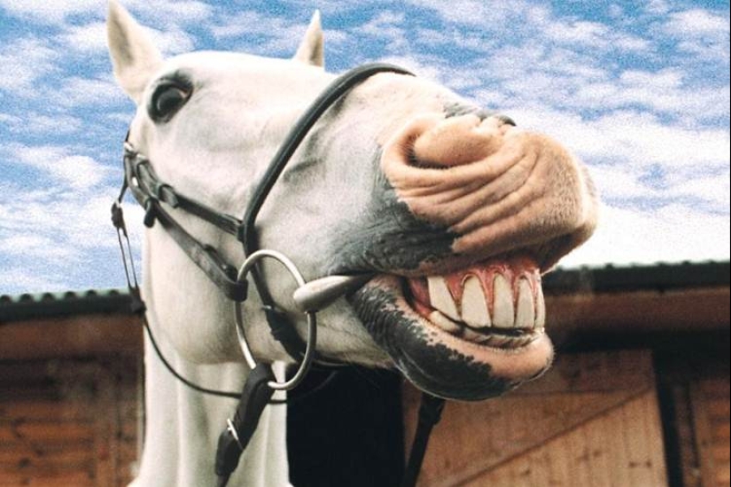 Lluvia de diamantes de la boda y Mak: 20+ loco hechos, que sin duda querrá comprobar en Google Lluvia de diamantes de la boda y Mak: 20+ loco hechos, que sin duda querrá comprobar en Google