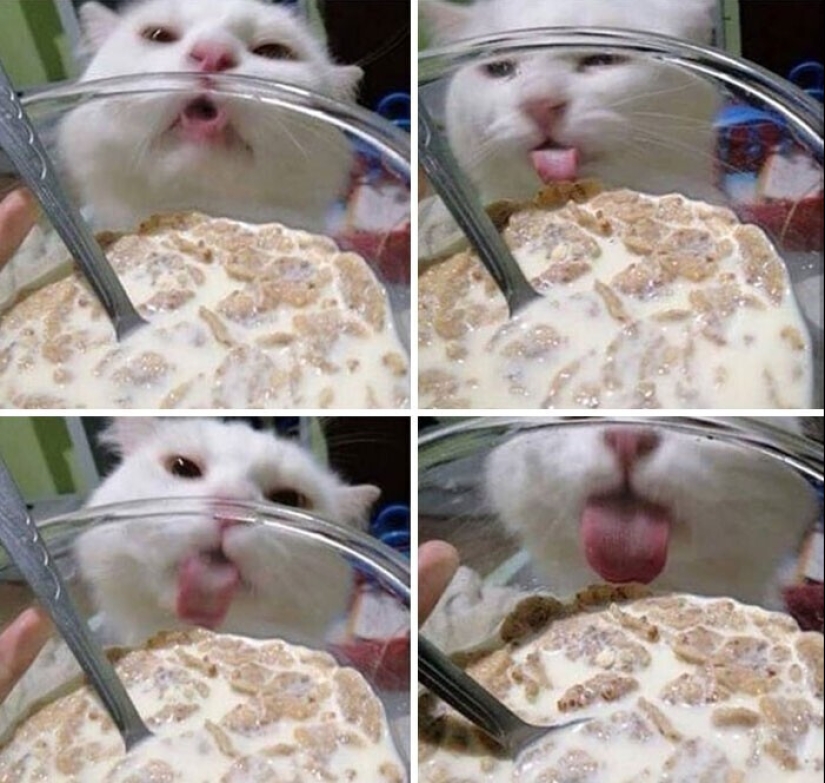 Lo intentamos, pero no funcionó: 35 ejemplos cuando todo terminó en fracaso