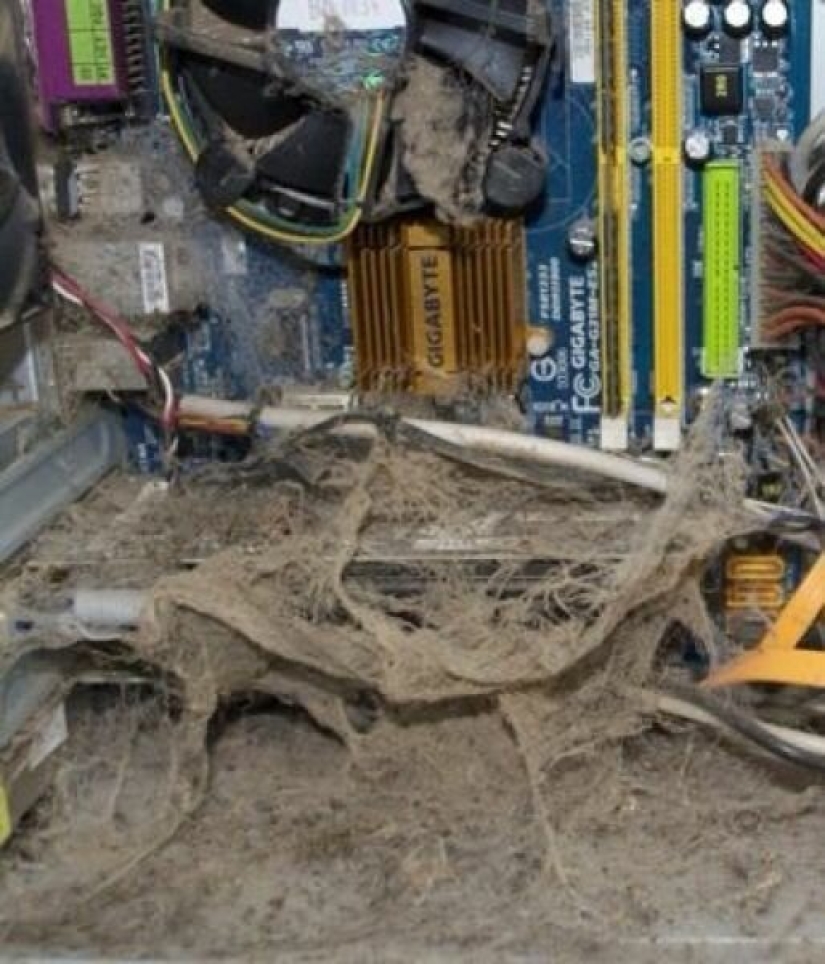 "Lo limpiaron recientemente", o la dura vida cotidiana de un reparador de equipos informáticos "Lo limpiaron recientemente", o la dura vida cotidiana de un reparador de equipos informáticos