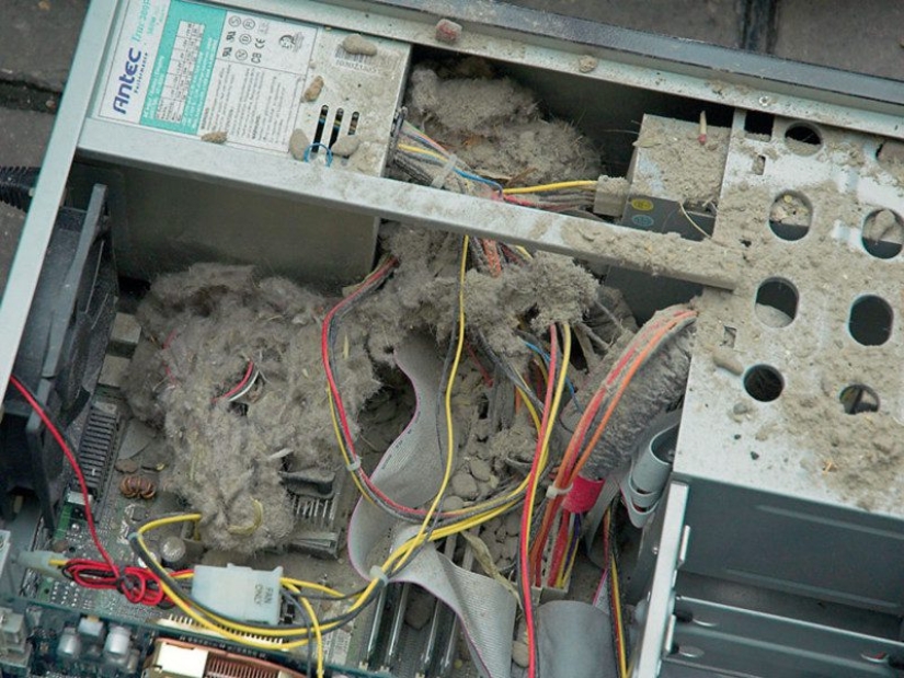 "Lo limpiaron recientemente", o la dura vida cotidiana de un reparador de equipos informáticos "Lo limpiaron recientemente", o la dura vida cotidiana de un reparador de equipos informáticos