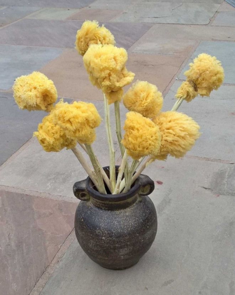 Lo que la gente utiliza antes de la invención del papel higiénico Lo que la gente utiliza antes de la invención del papel higiénico