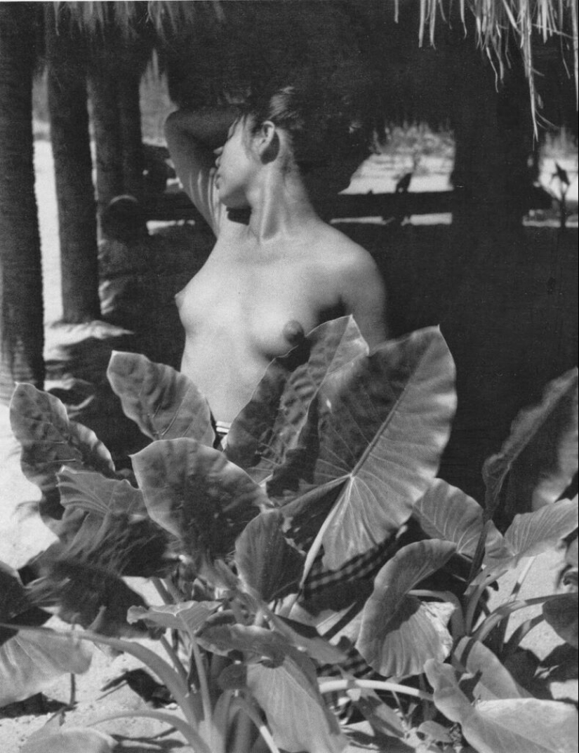 Lola Alvarez Bravo - Fotografía mexicana en manos femeninas Lola Alvarez Bravo - Fotografía mexicana en manos femeninas