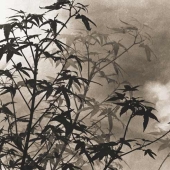 Long Chinsan: Founder of Pictorealism and China's First Nude Photographer