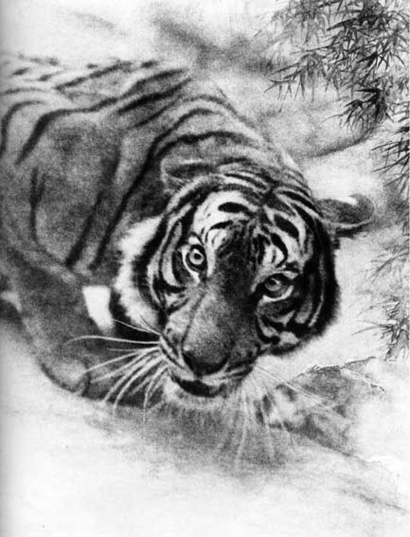 Long Chinsan: Fundador del pictorrealismo y primer fotógrafo de desnudos de China Long Chinsan: Fundador del pictorrealismo y primer fotógrafo de desnudos de China