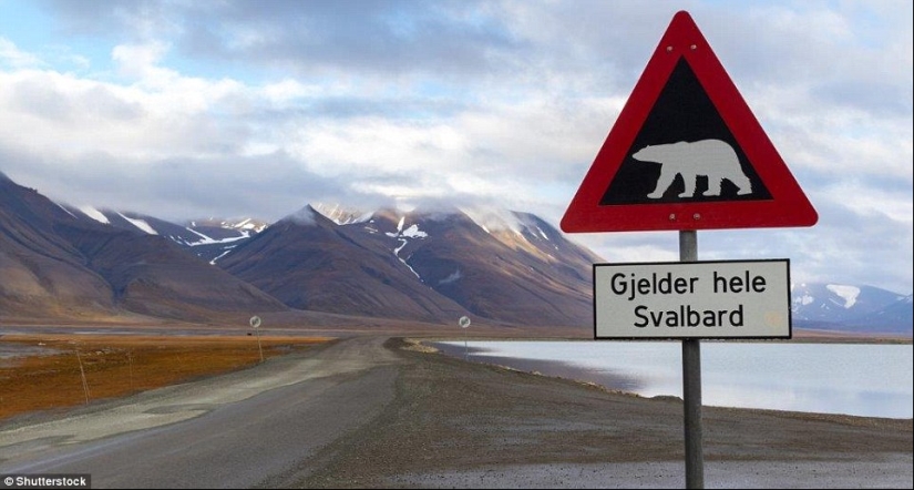 Longyearbyen: la ciudad más Septentrional de la Tierra, que por ley no se permite a morir Longyearbyen: la ciudad más Septentrional de la Tierra, que por ley no se permite a morir