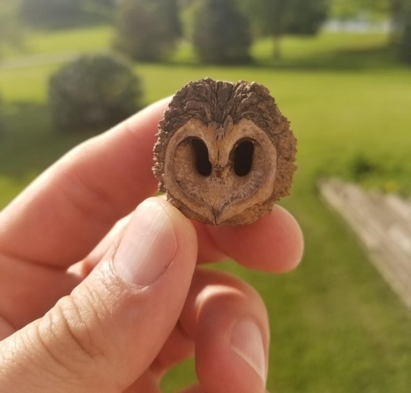 Look again — there is no girl on a motorcycle, no! Look again — there is no girl on a motorcycle, no!