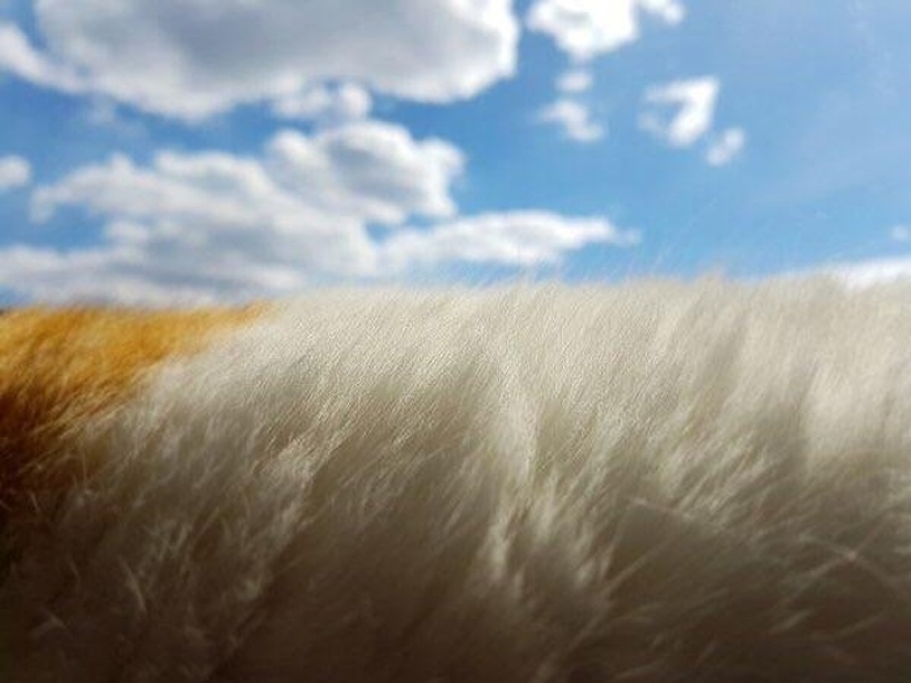 Look again — there is no girl on a motorcycle, no! Look again — there is no girl on a motorcycle, no!