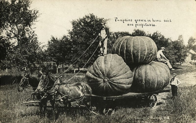 Looked like the processed photos before the Photoshop era