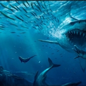 Los 10 tiburones más grandes del mundo