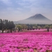 Los 15 lugares más bellos de Japón