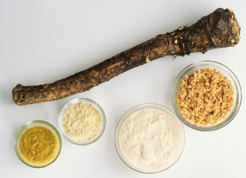 Los 20 mejores alimentos para quemar grasa y regular el metabolismo