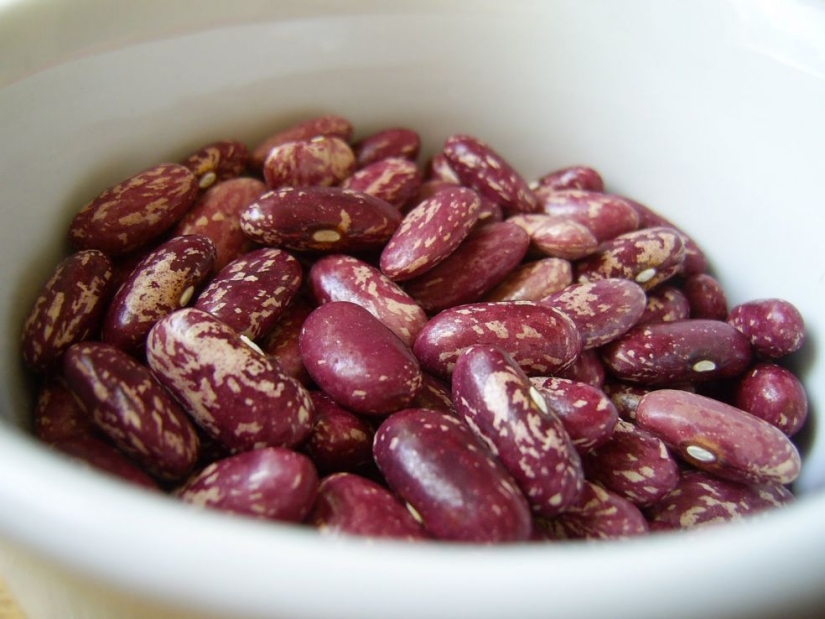 Los 20 mejores alimentos para quemar grasa y regular el metabolismo