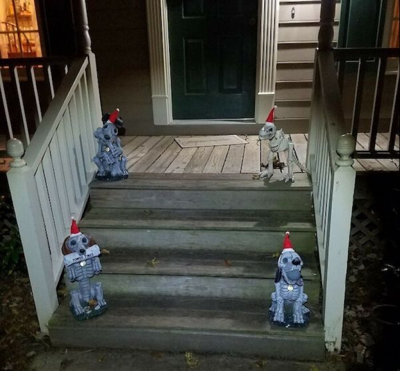 Los 22 ejemplos más impresionantes de pereza crónica Los 22 ejemplos más impresionantes de pereza crónica