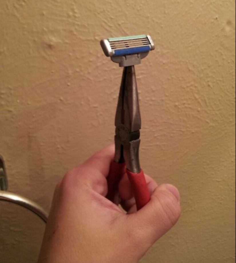 Los 22 ejemplos más impresionantes de pereza crónica Los 22 ejemplos más impresionantes de pereza crónica