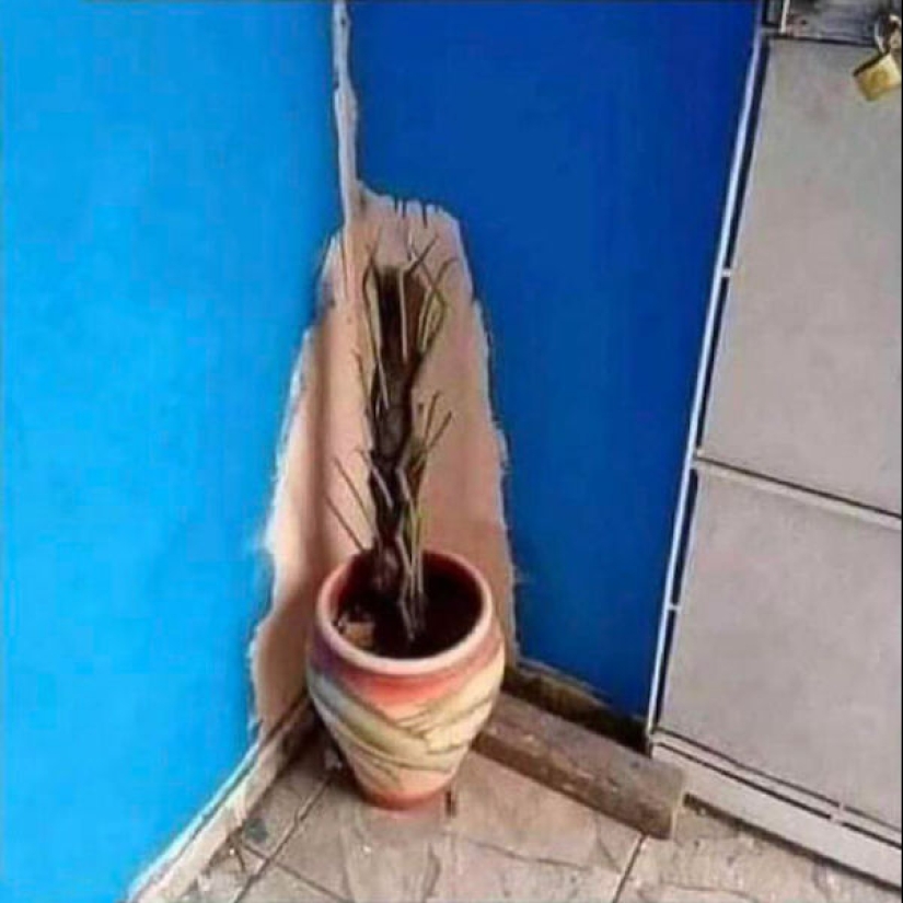 Los 22 ejemplos más impresionantes de pereza crónica Los 22 ejemplos más impresionantes de pereza crónica