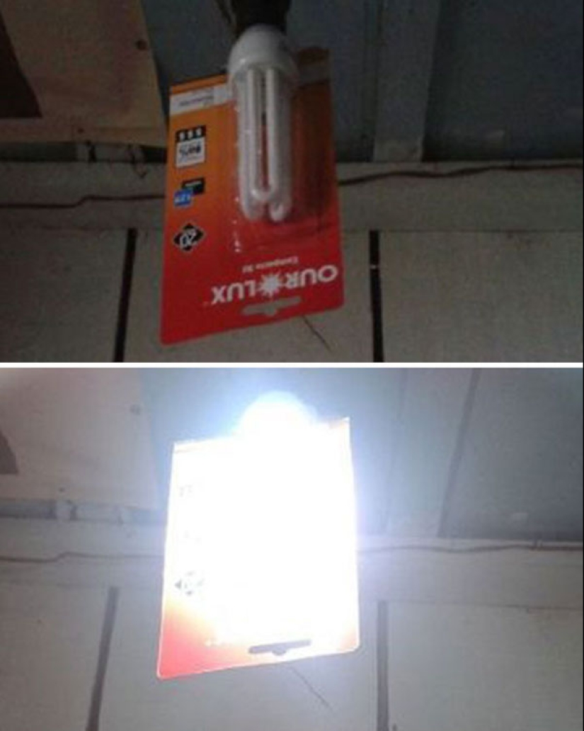 Los 22 ejemplos más impresionantes de pereza crónica Los 22 ejemplos más impresionantes de pereza crónica